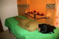 Sala de relajación